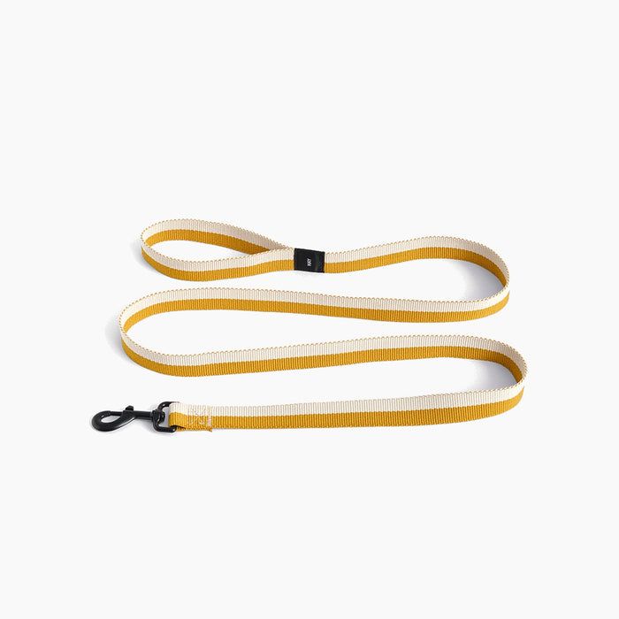 Off-white, ochre
