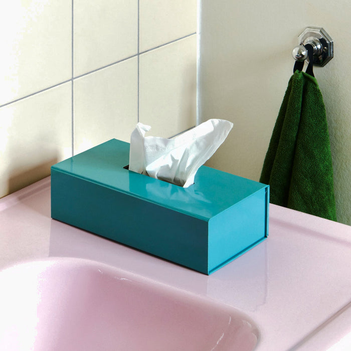 Colour Storage Tissue Box - HAY