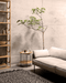 Dini 2.5 Seater Sofa - Dini lifestyle 01