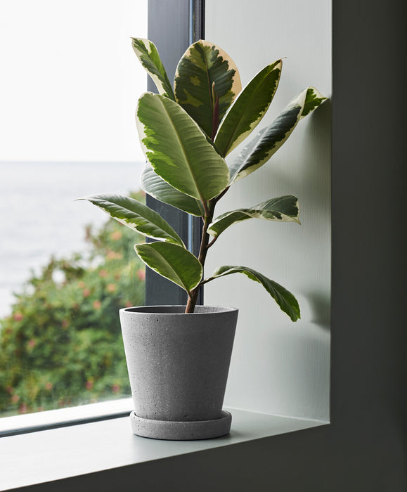 Flowerpot with Saucer - HAY