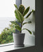 Flowerpot with Saucer - HAY