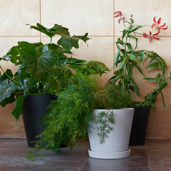 Flowerpot with Saucer - HAY