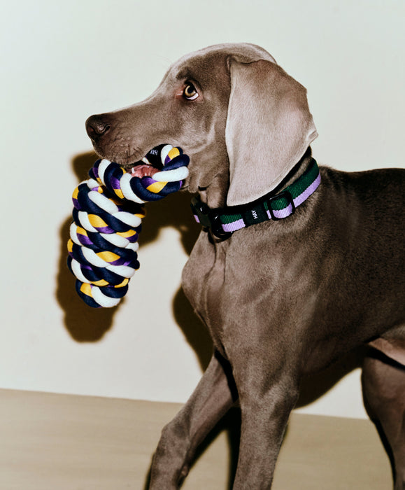 HAY Dogs Rope Toy - HAY
