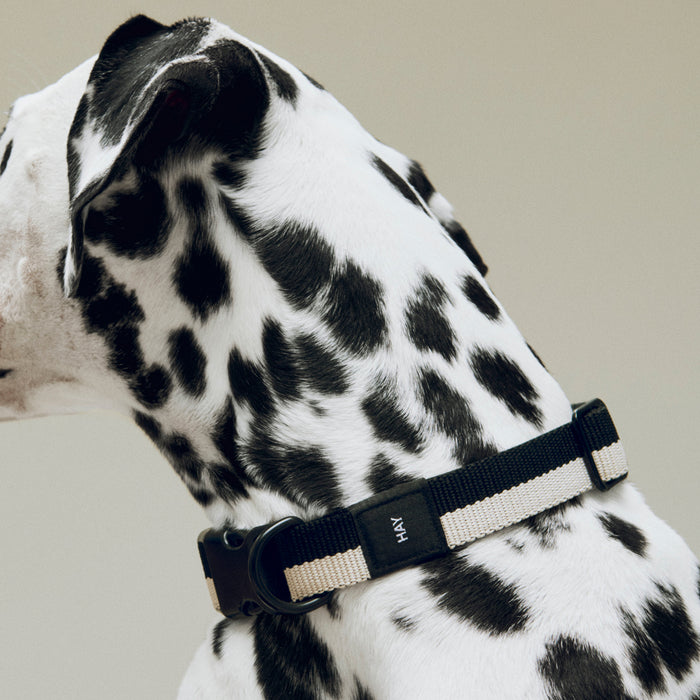 HAY Dogs Collar Flat - HAY
