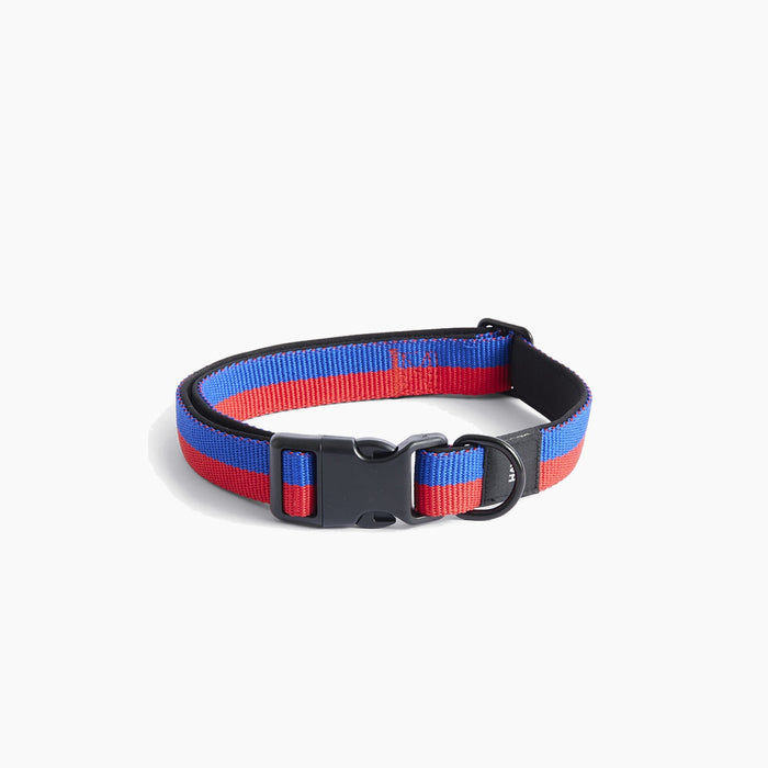 HAY Dogs Collar Flat - HAY
