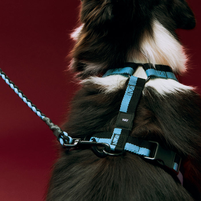HAY Dogs Harness - HAY