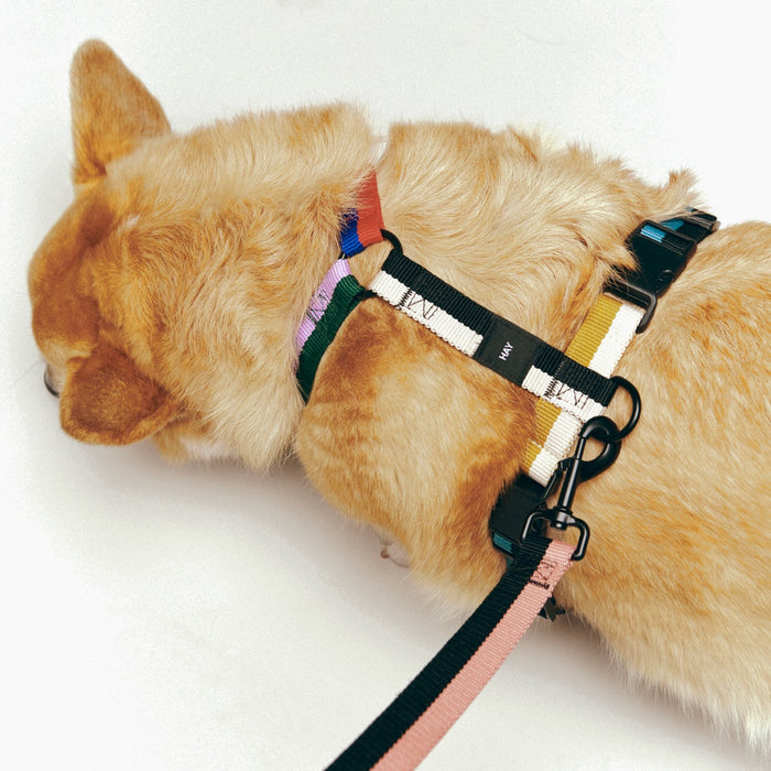 HAY Dogs Harness - HAY