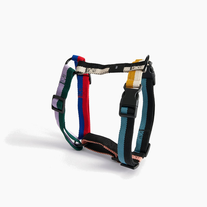 HAY Dogs Harness - HAY