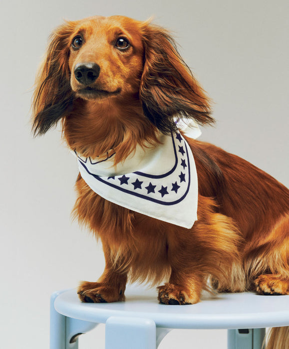 HAY Dogs Scarf (Recycled) - HAY