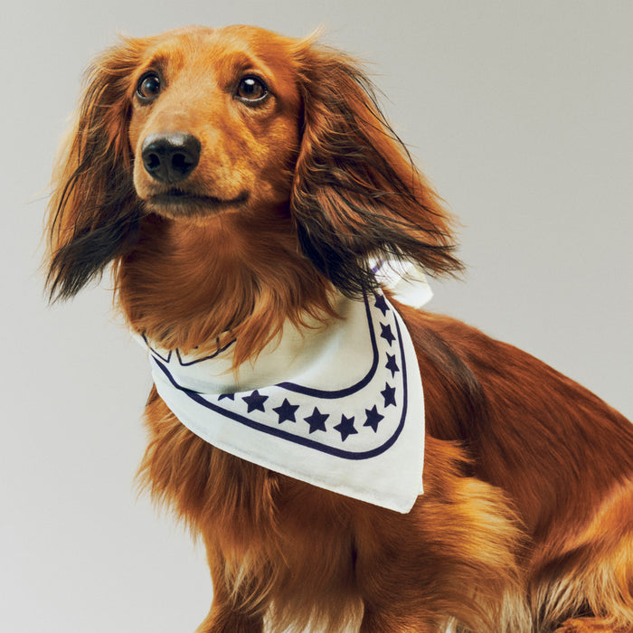 HAY Dogs Scarf (Recycled) - HAY