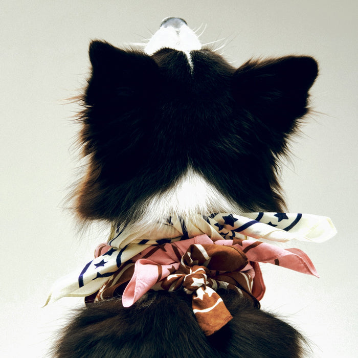 HAY Dogs Scarf (Recycled) - HAY