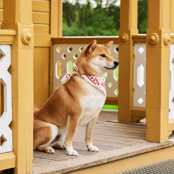 HAY Dogs Scarf - HAY