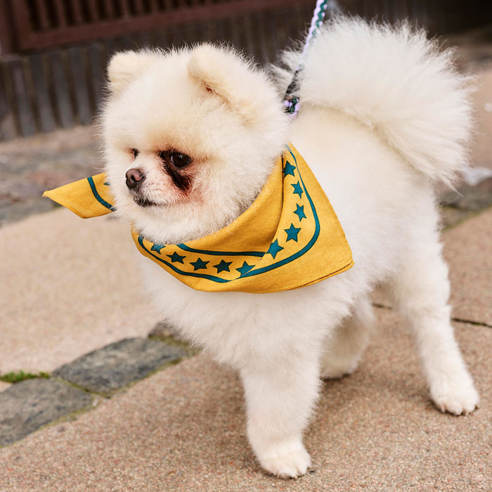 HAY Dogs Scarf - HAY