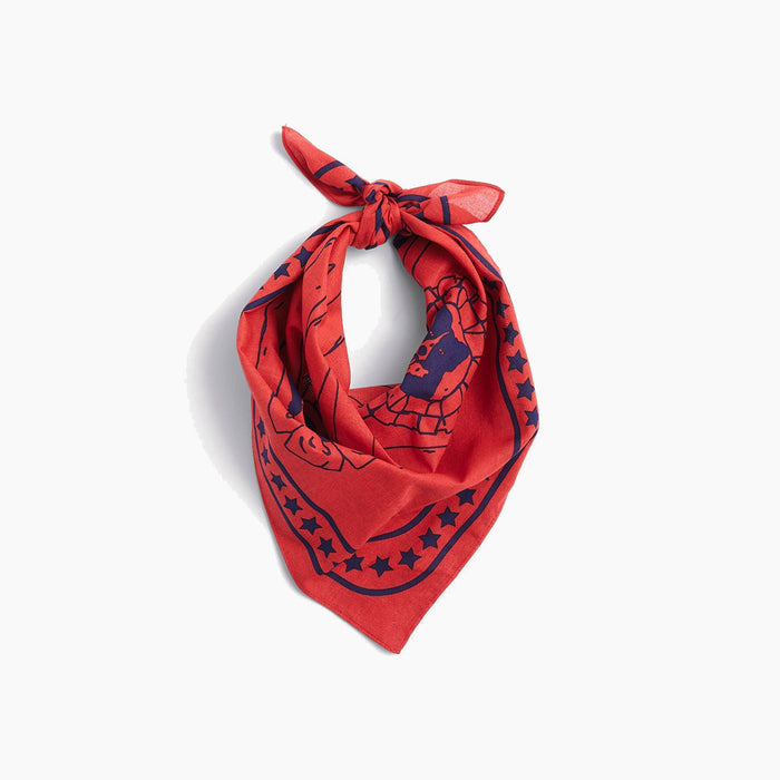 HAY Dogs Scarf - HAY