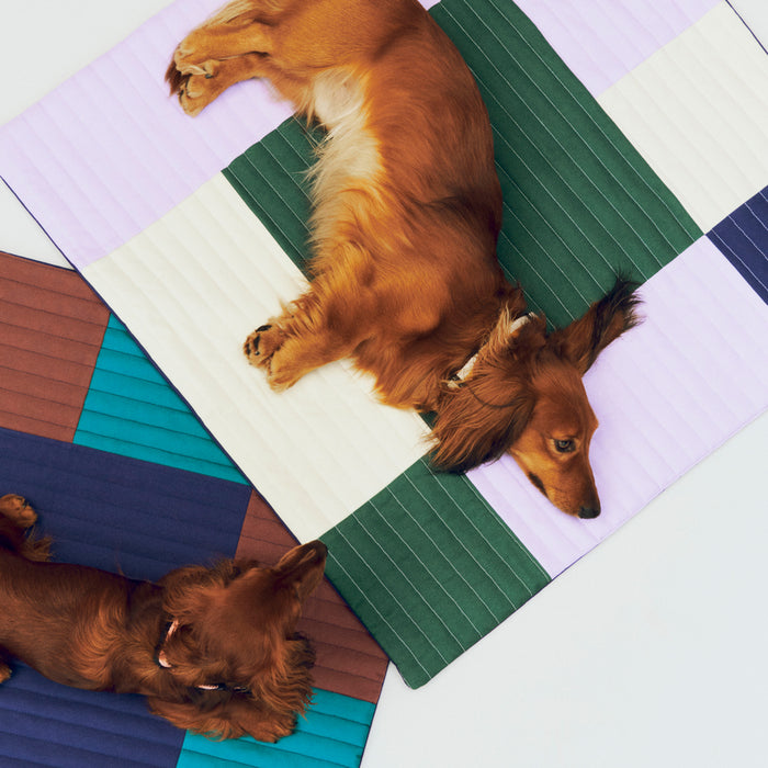 HAY Dogs Travel Blanket - HAY