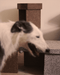 Kern Side Table - Kern lifestyle 07