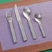 MVS Cutlery - HAY