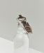 Outdoor Market Bottle Opener - HAY