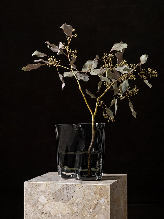 The rippled, clear glass Aer Vase holds a stem of eucalyptus. The vase sits atop a stone plinth against a black background.