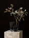 The rippled, clear glass Aer Vase holds a stem of eucalyptus. The vase sits atop a stone plinth against a black background.