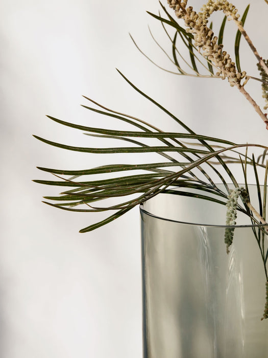 A close-up of the Aer Vase in smoked grey glass, holding a botanical stem with thin green leaves and dried beige flowers.