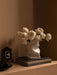 A white, sculptural Collapse Vase holds white roses, sitting on a stack of books on a shelf next to a picture frame & fruit.