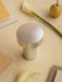 Overhead view of the Column Table Lamp in brushed aluminium on a cream rug surrounded by books, calla lilies, and a pear.