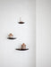 Three dark Gridy Fungi Shelves mounted on a white wall, styled with small ceramic vessels with cork stoppers and a twig.