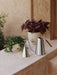 Stainless steel Hydrous Watering Can and Hydrous Mister sit on a stone ledge beside two plants in off-white Hydrous Planters.
