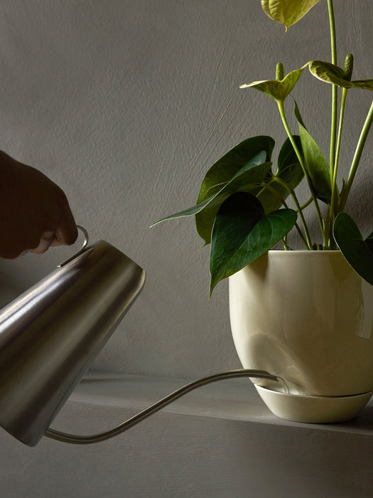 A hand holds a steel Hydrous Watering Can, watering a green plant in a cream Hydrous Planter against a grey textured wall.