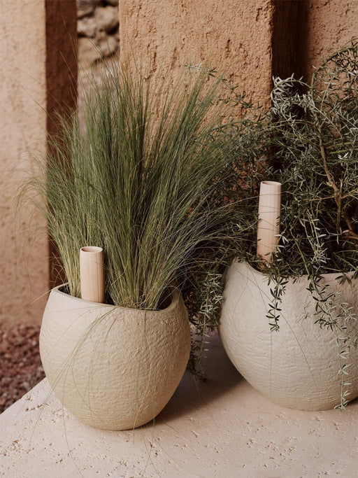 Two textured, beige Plantas Planters with green plants and Hydrous Watering Sticks, set against a rustic, sandy-coloured wall