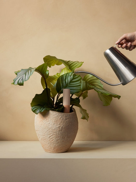 A hand watering a leafy plant in a textured Plantas Planter using a Hydrous Watering Can, with a Hydrous Watering Stick.