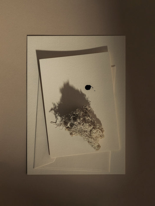 Artistic flat lay for the Olfacte Scented Candle Wet Ink, showing layered paper, dried lichen, and a single black ink blot.