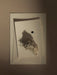 Artistic flat lay for the Olfacte Scented Candle Wet Ink, showing layered paper, dried lichen, and a single black ink blot.