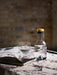A glass Stackable Carafe with a brass lid and a matching glass, filled with water, sit on a marble table next to a journal.