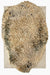 Alga Rug - Grey - Hand Knotted + Hand Loomed - 50% Afghan wool + 29% NZ wool + 21% New wool - nanimarquina