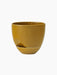 A glossy, ochre-coloured Hydrous Planter with an integrated saucer, shown at an angle against a black background.