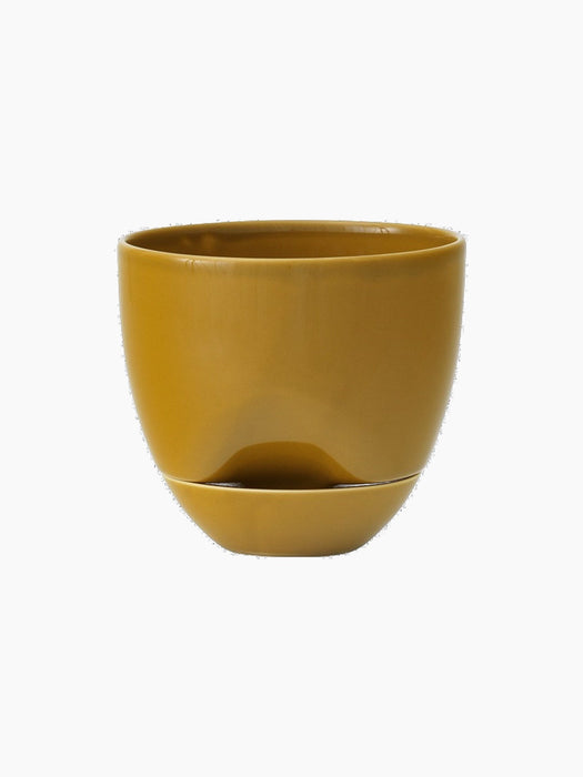 Hydrous Planter in glossy ochre. The rounded ceramic pot sits in its matching saucer against a black background.