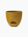 Hydrous Planter in glossy ochre. The rounded ceramic pot sits in its matching saucer against a black background.
