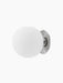 TR Bulb Ceiling/Wall Lamp with a polished steel fixture and a spherical white opal glass shade against a black background.