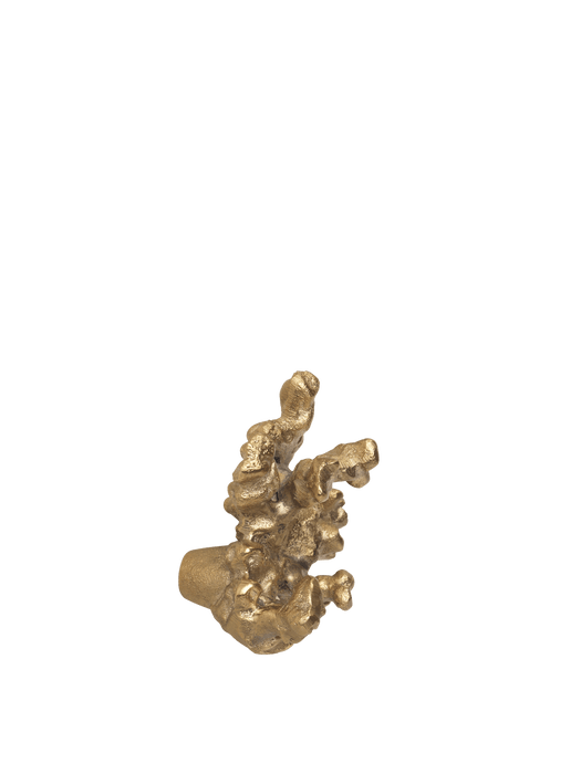 Comber Coral Branch Hook