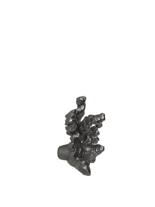 Comber Coral Branch Hook