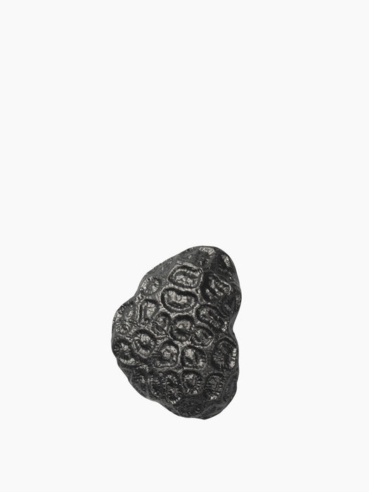 Comber Coral Hook