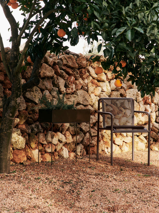 Dapple Chair with Arms