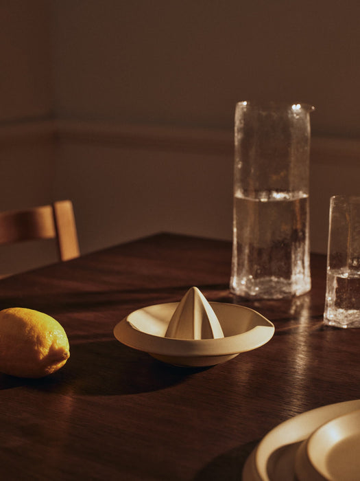 Erena Citrus Juicer