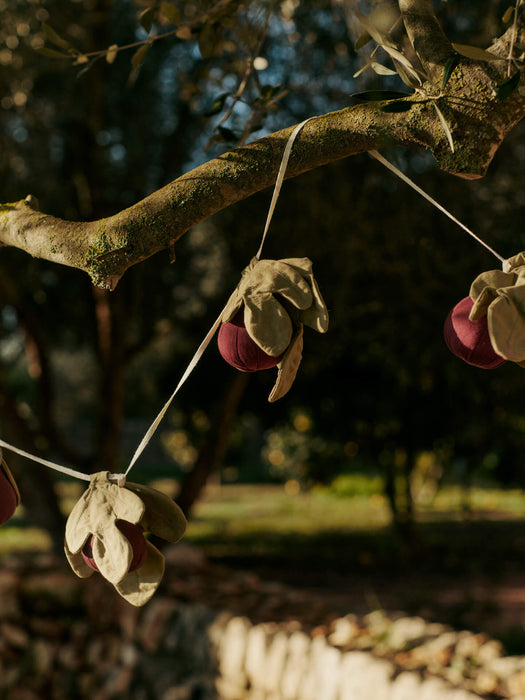 Figs Garland