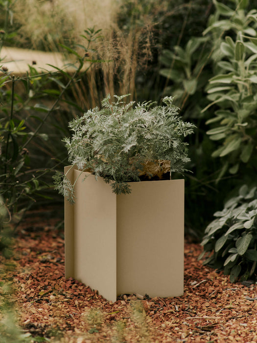 Fragma Planter - Small