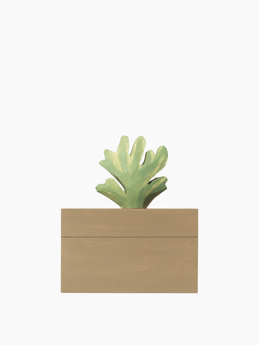 Harbour Box - Coral