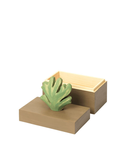 Harbour Box - Coral