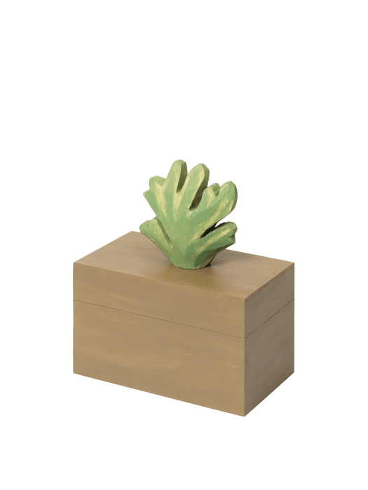Harbour Box - Coral
